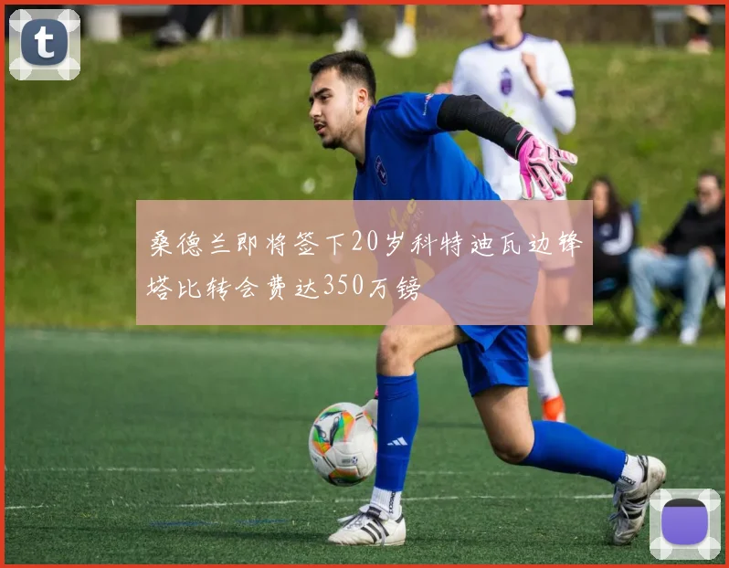 桑德兰即将签下20岁科特迪瓦边锋塔比转会费达350万镑